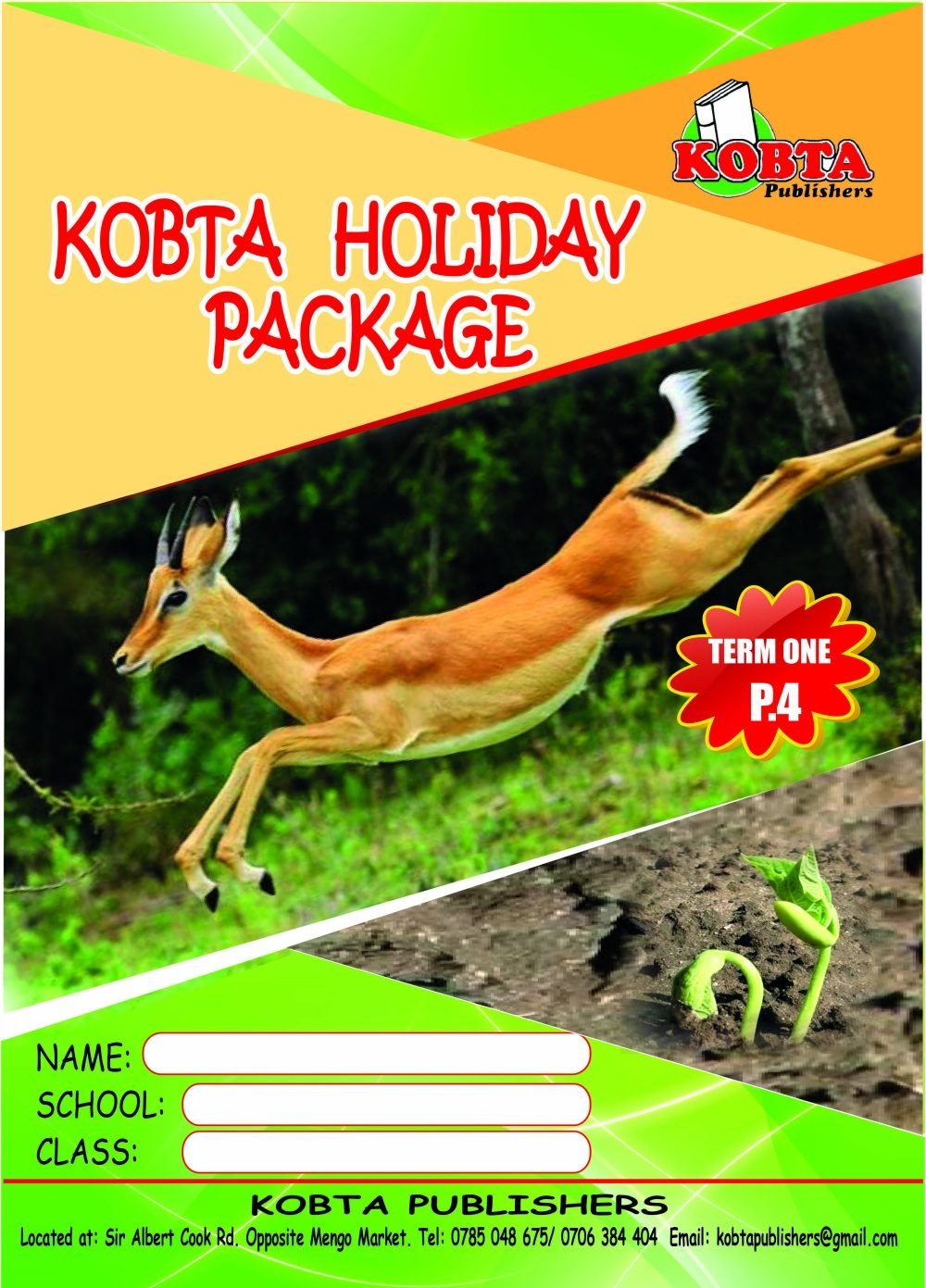 HOLIDAY PACKAGE