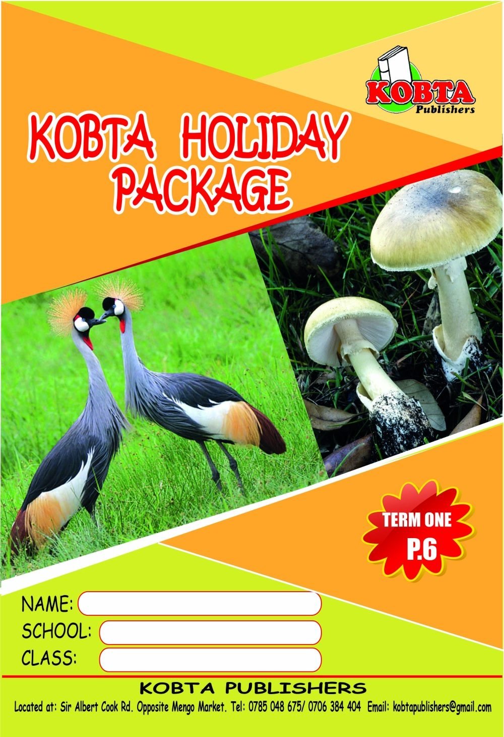 HOLIDAY PACKAGE
